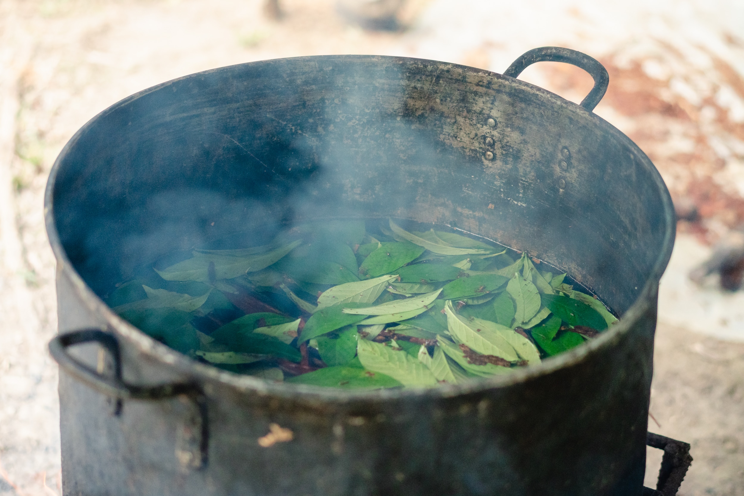 Boiling Ayahuasca