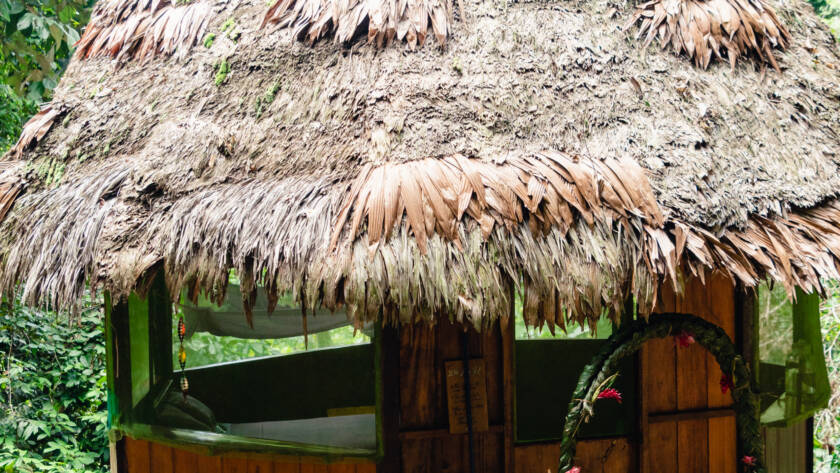 private tambo at rainforest healing center