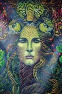 Ayahuasca Retreats - Shamanflora